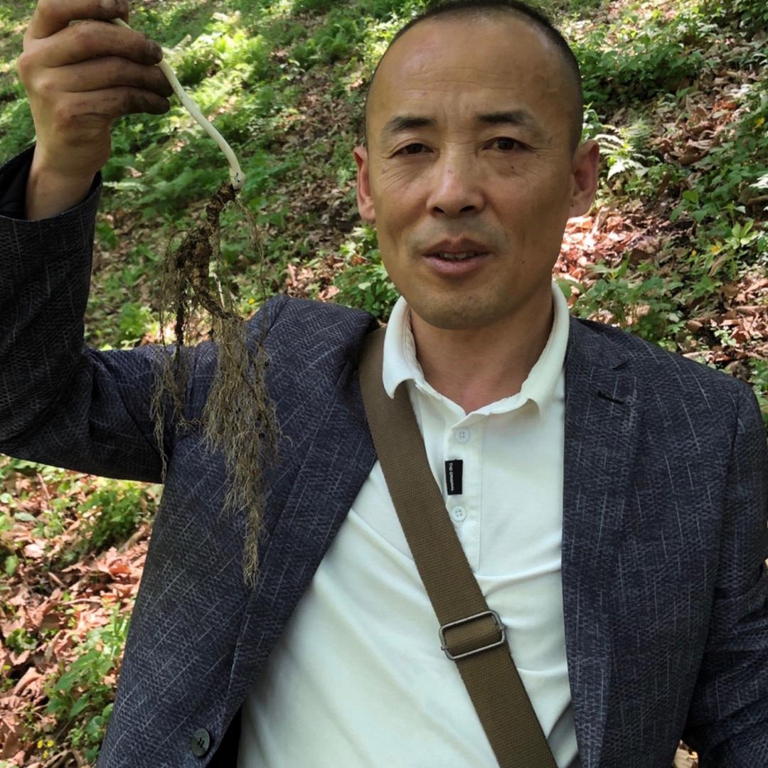 白山坤逸俊彦参茸贵细专卖店