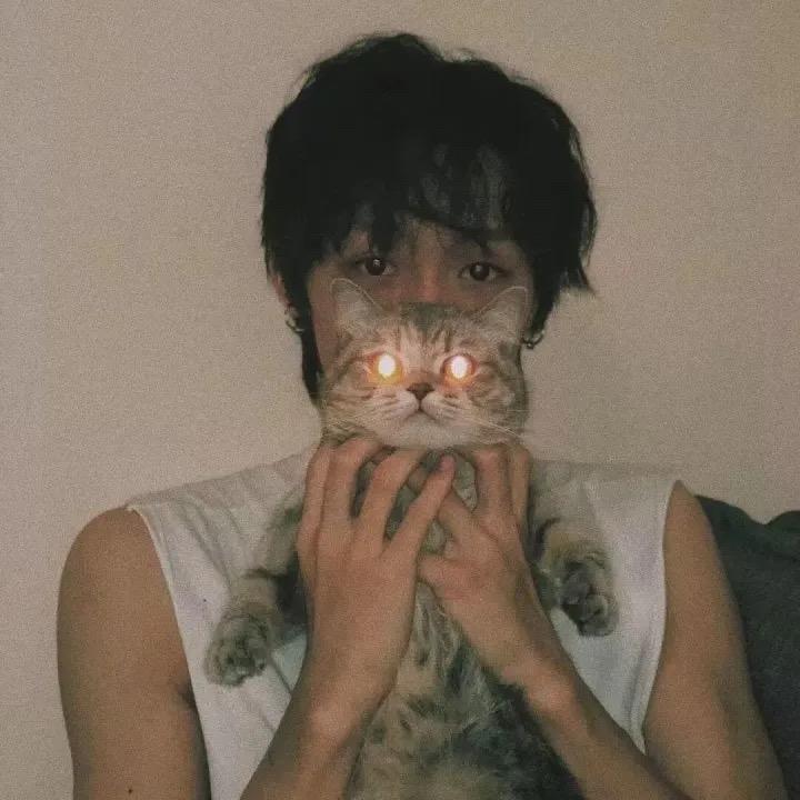 布丁