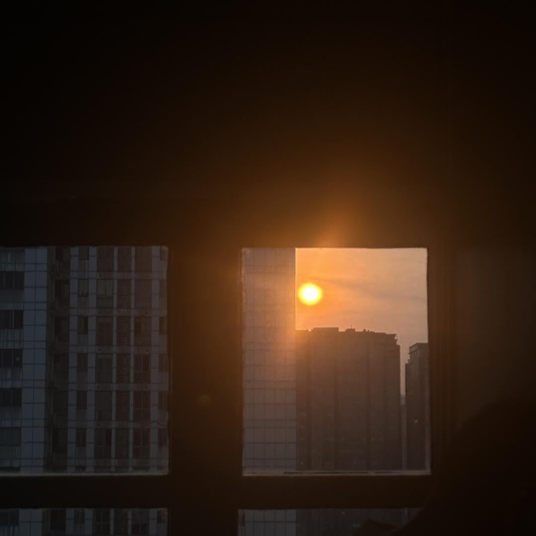 路飞科技