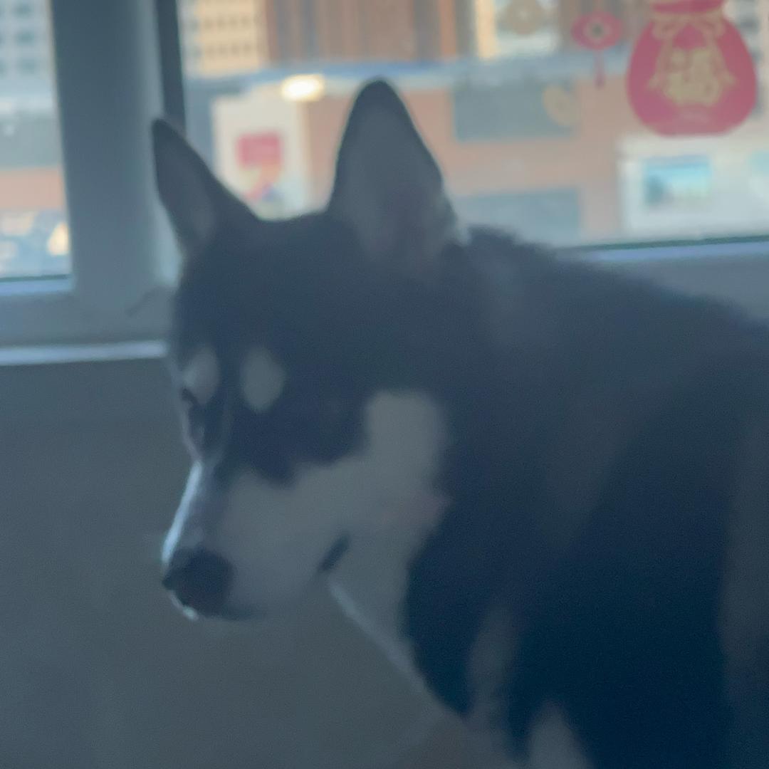 吃啥呢给我也来一口