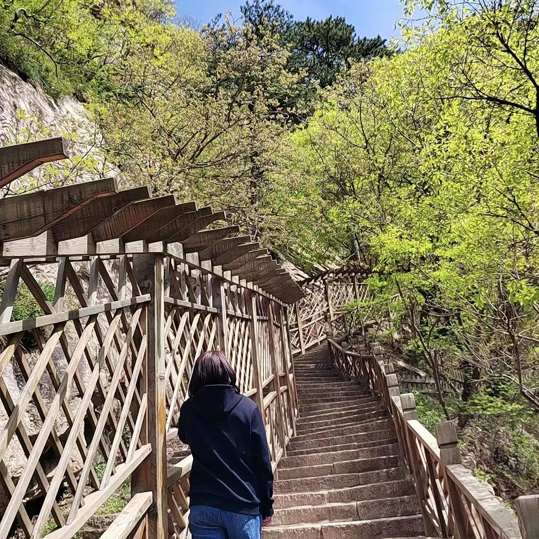 青岩寺歪脖老母导游接待（王导）
