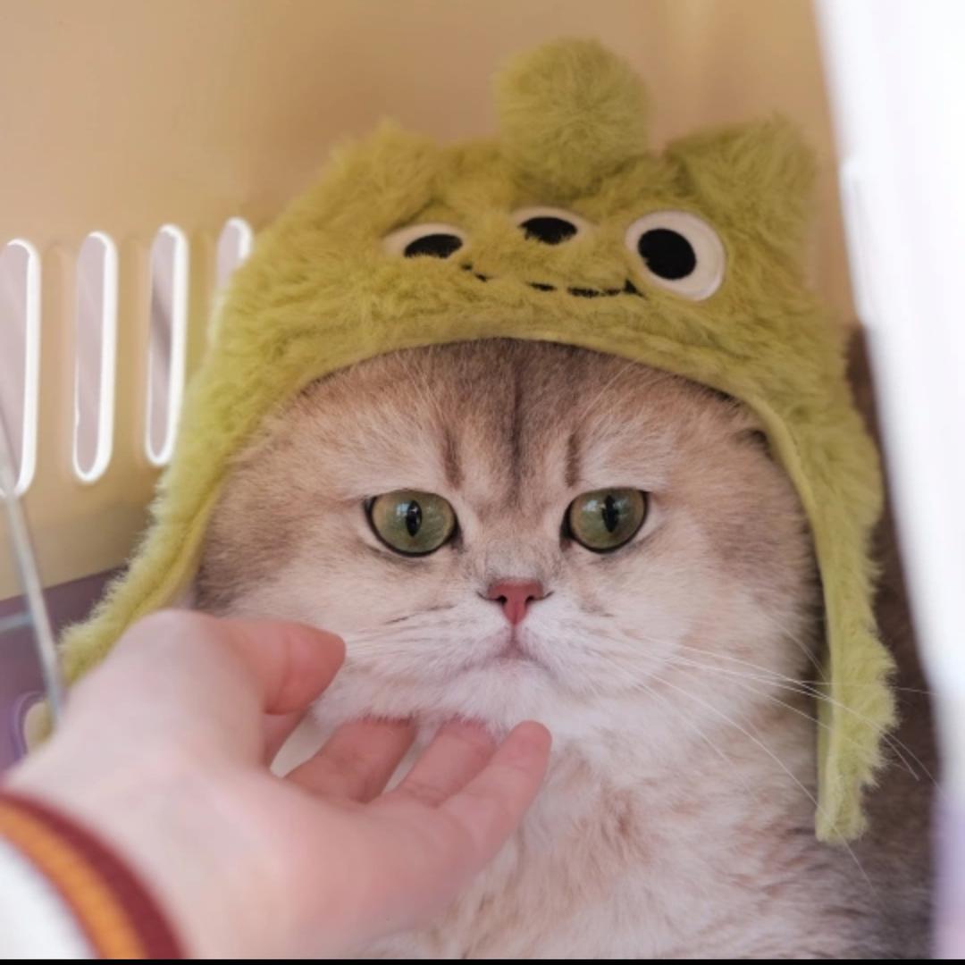 一口一个葡萄糖