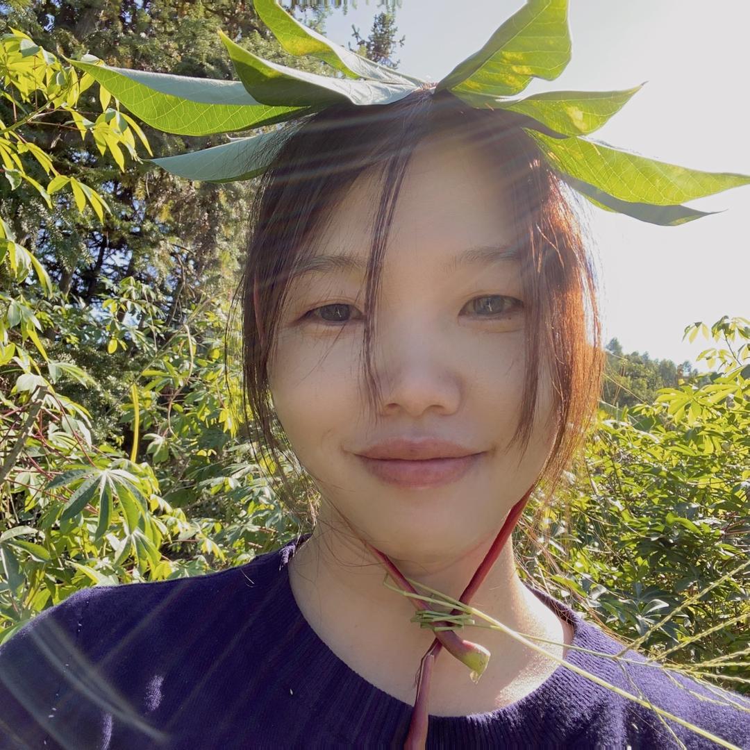 侨二代茶园（英红镇）沈沈头像
