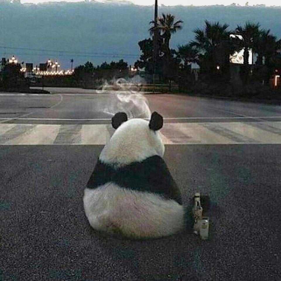 天宏