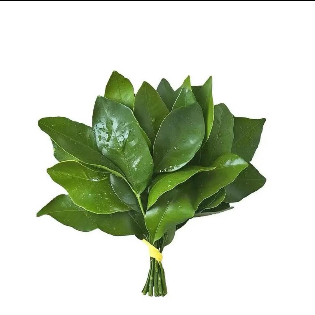 ～