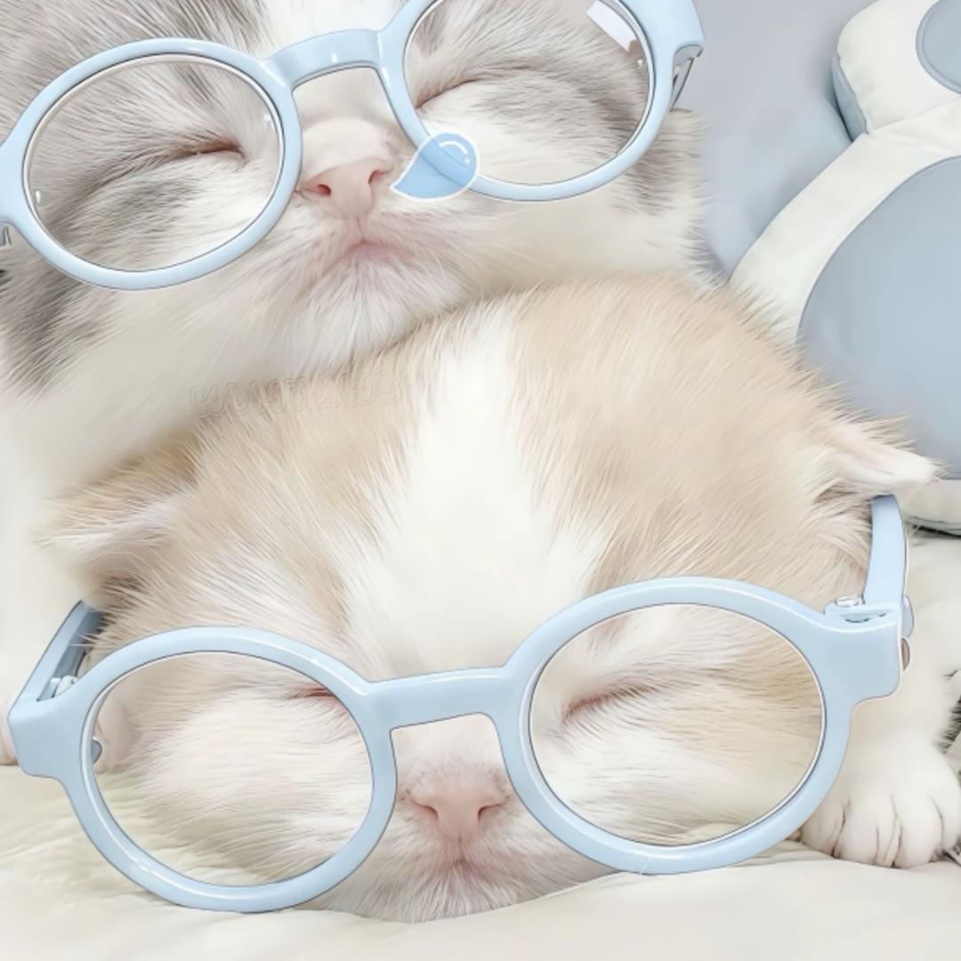 ˶>ωO˶