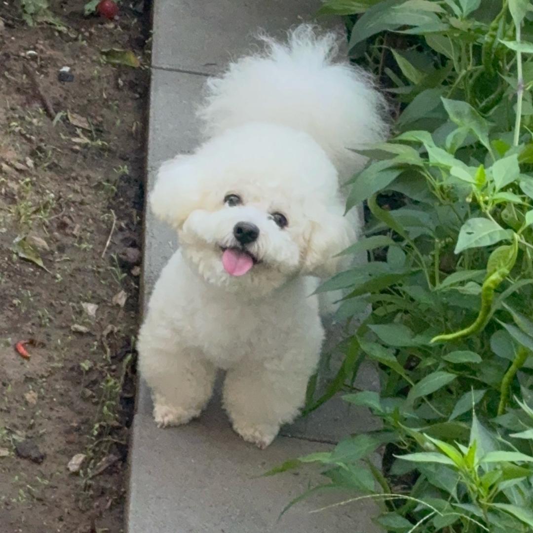 💗