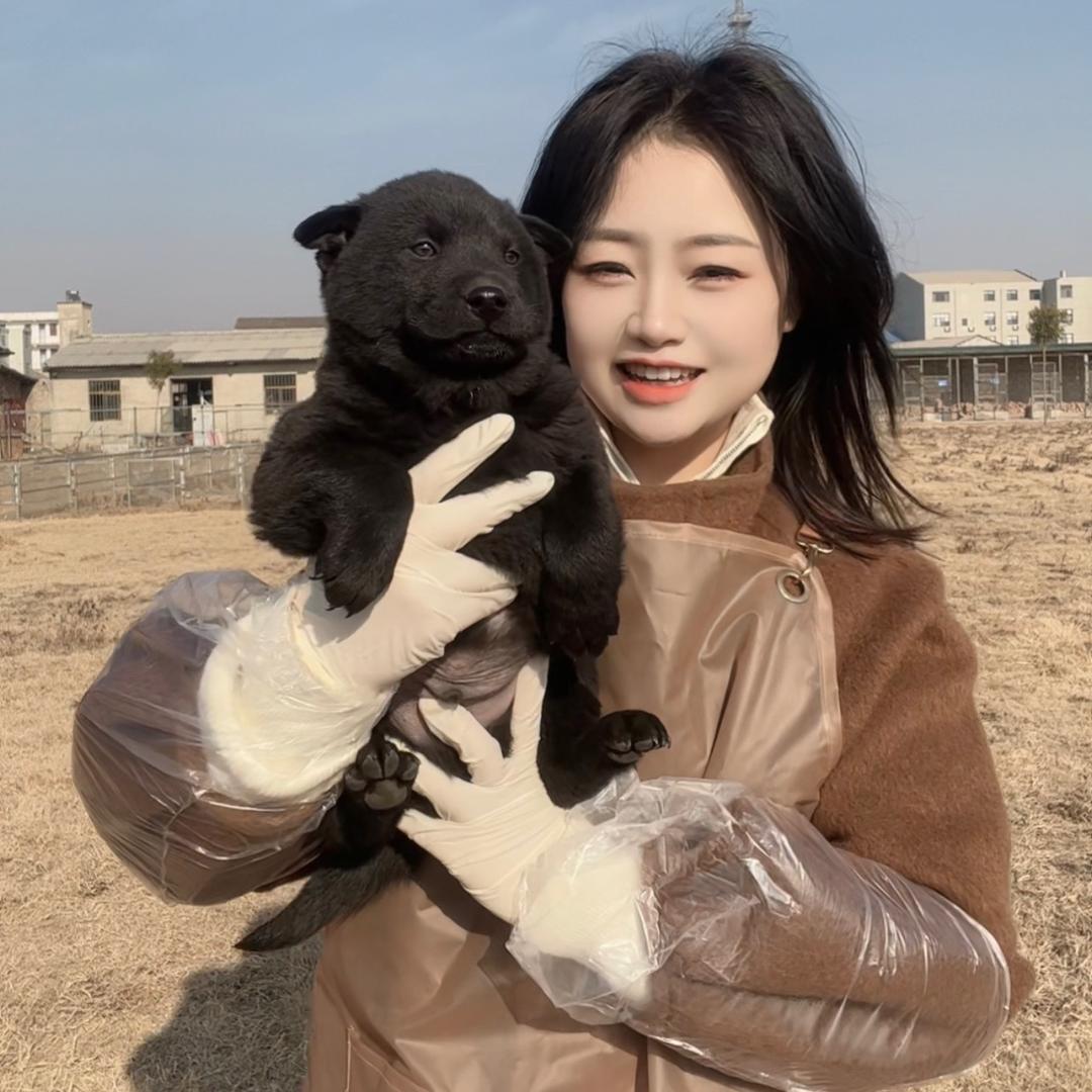 湖北遇见它犬业