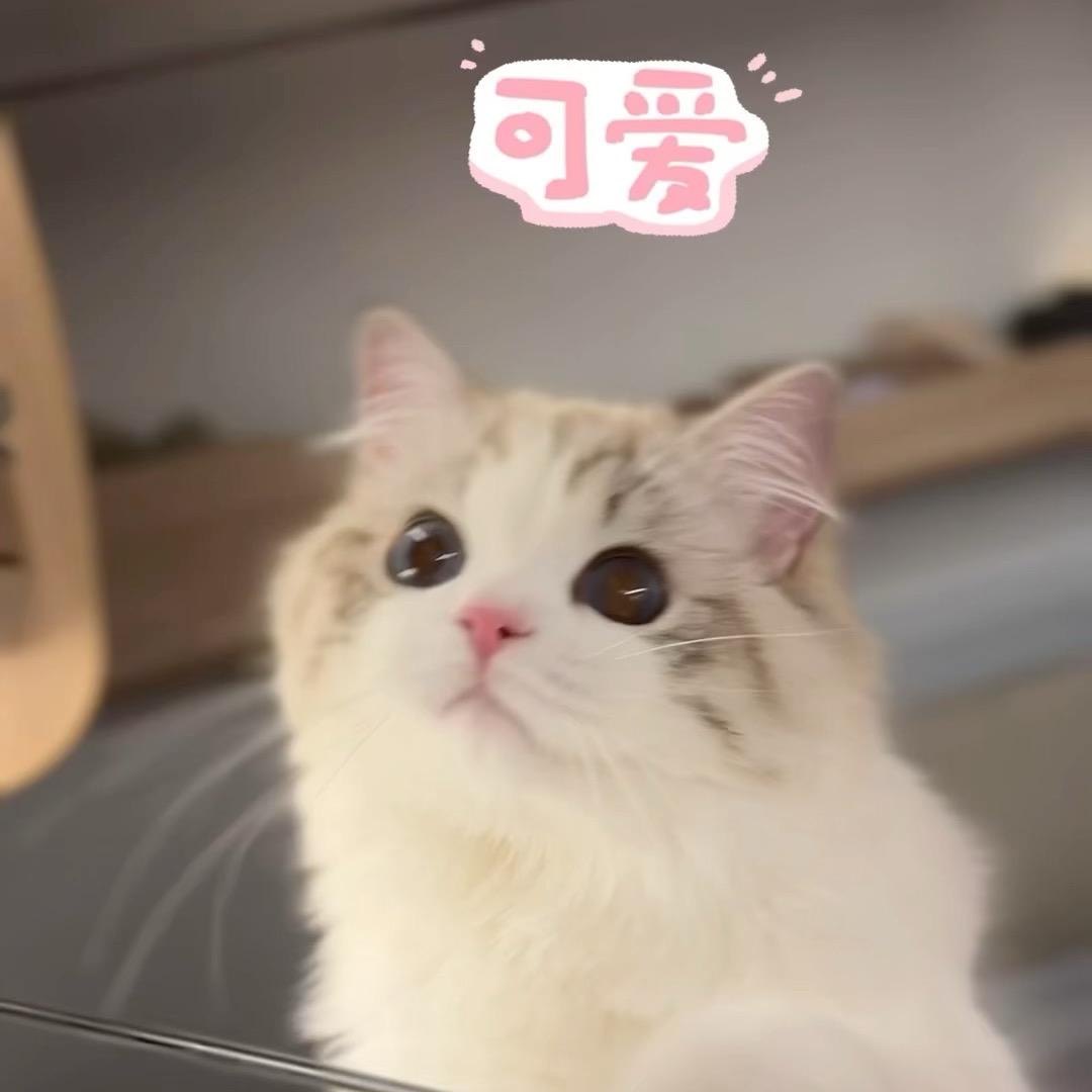 臭臭香香娃娃吖💕