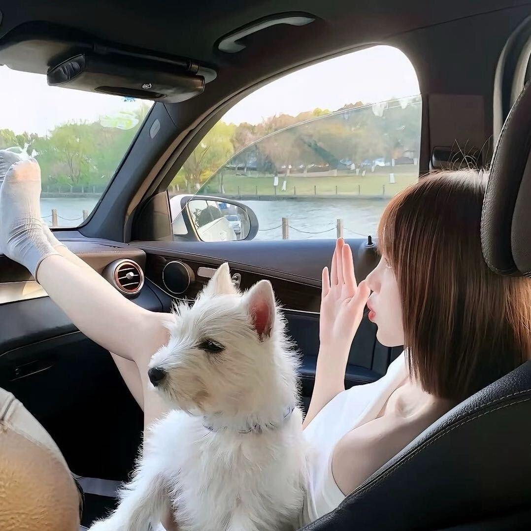 泡芙