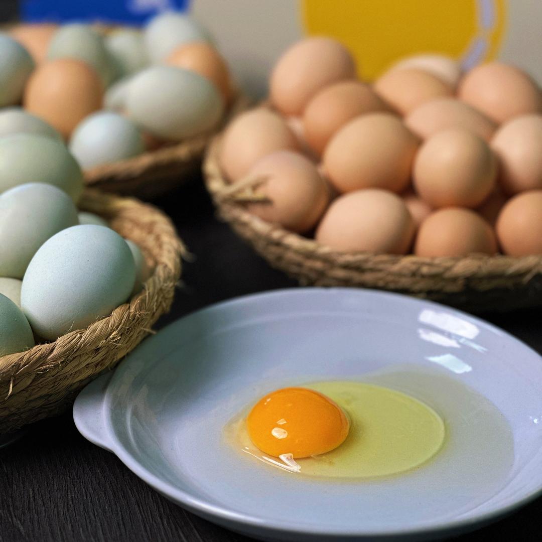 益生菌溜达鸡蛋