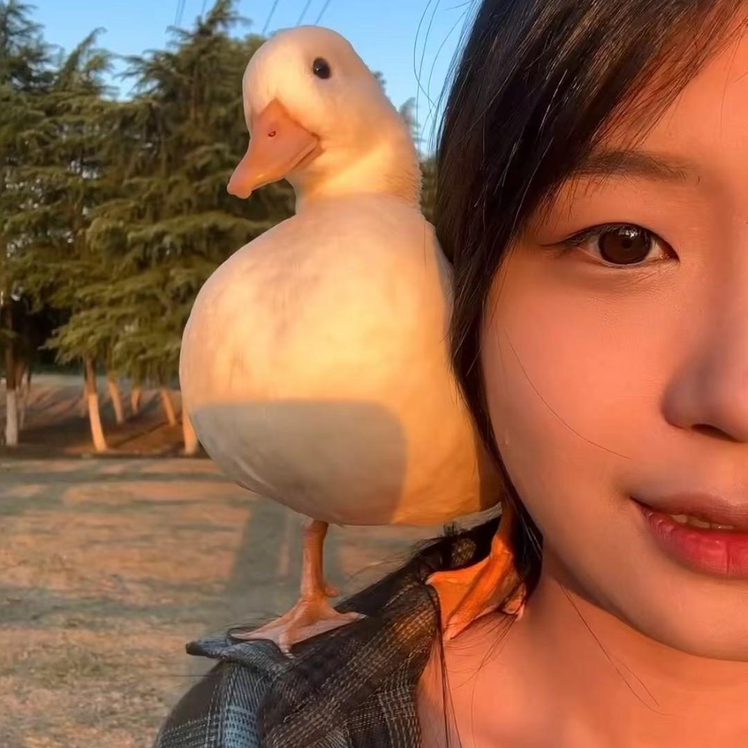 小黑狗