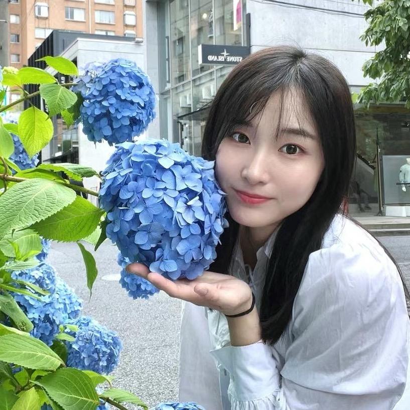 两颗仔仔