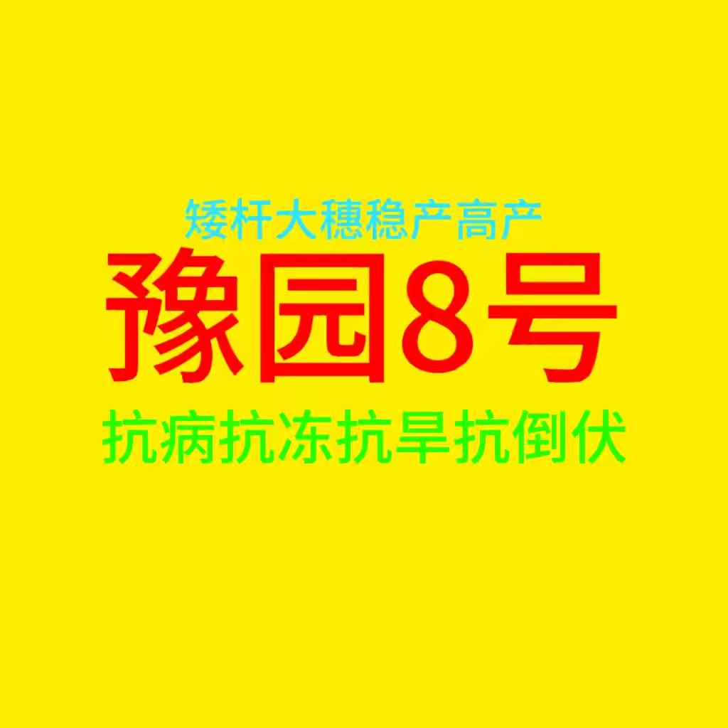 久园农业冯姑娘
