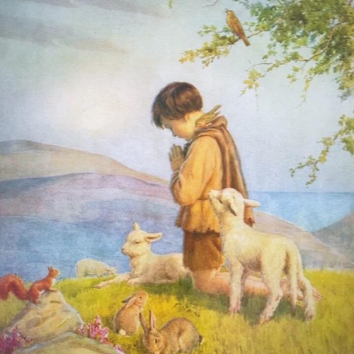 婷婷🐰