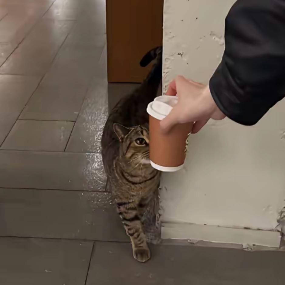 焦俊康