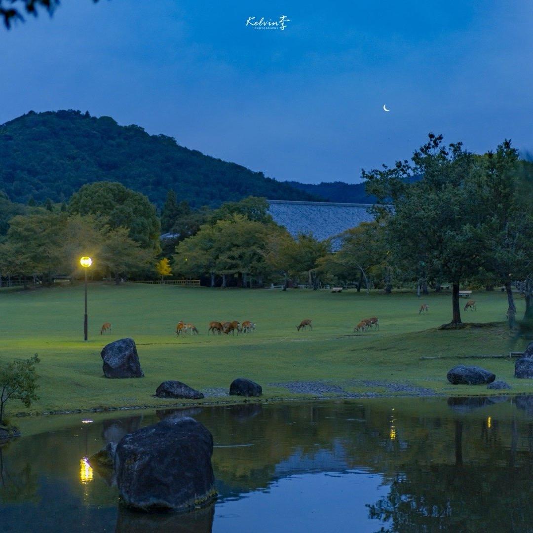 花田笙的绿植花园