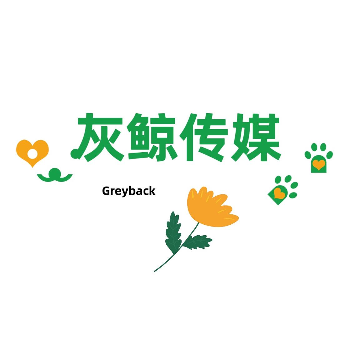 灰鲸传媒（运营）