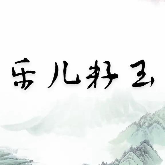 乐儿籽料原石888