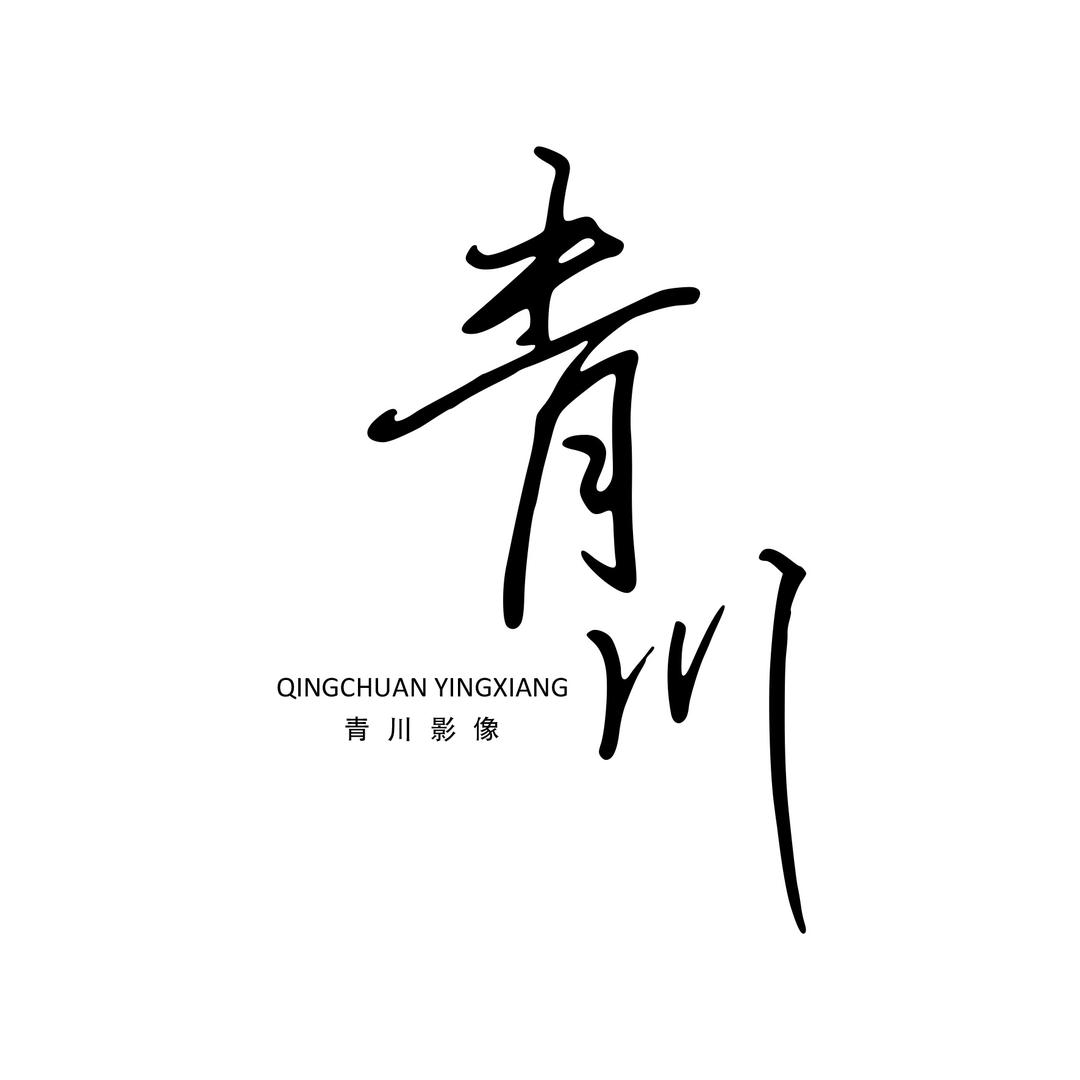 青川影像(婚礼跟拍)