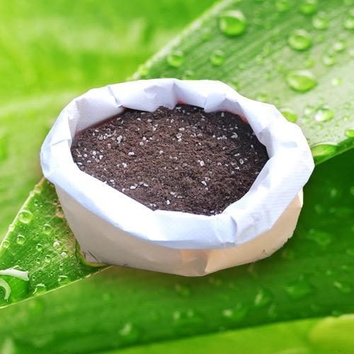 大华绿植园艺