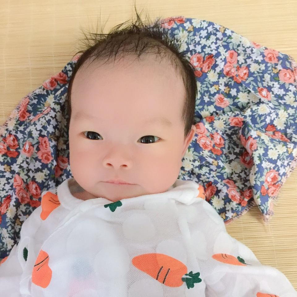 村花郑臭美