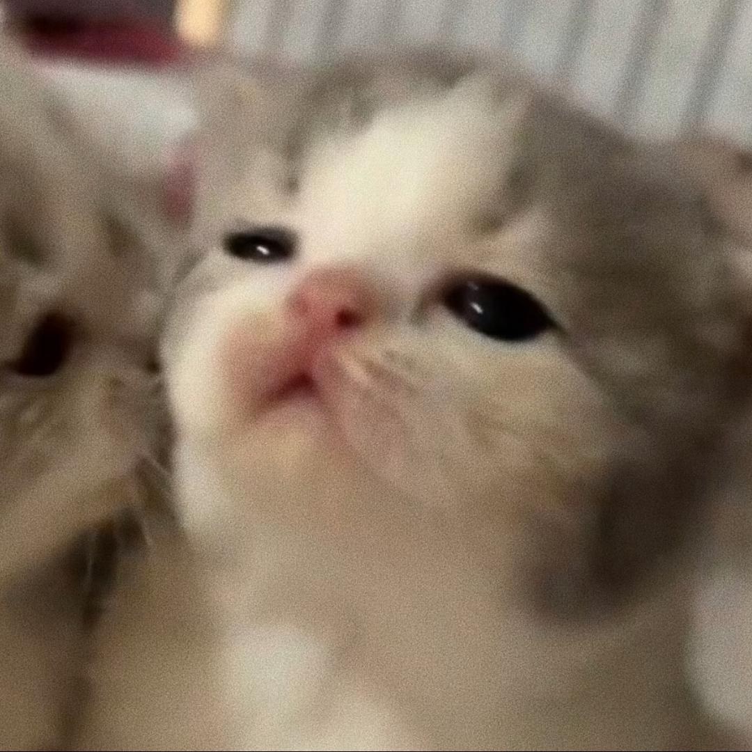 炸鸡翅