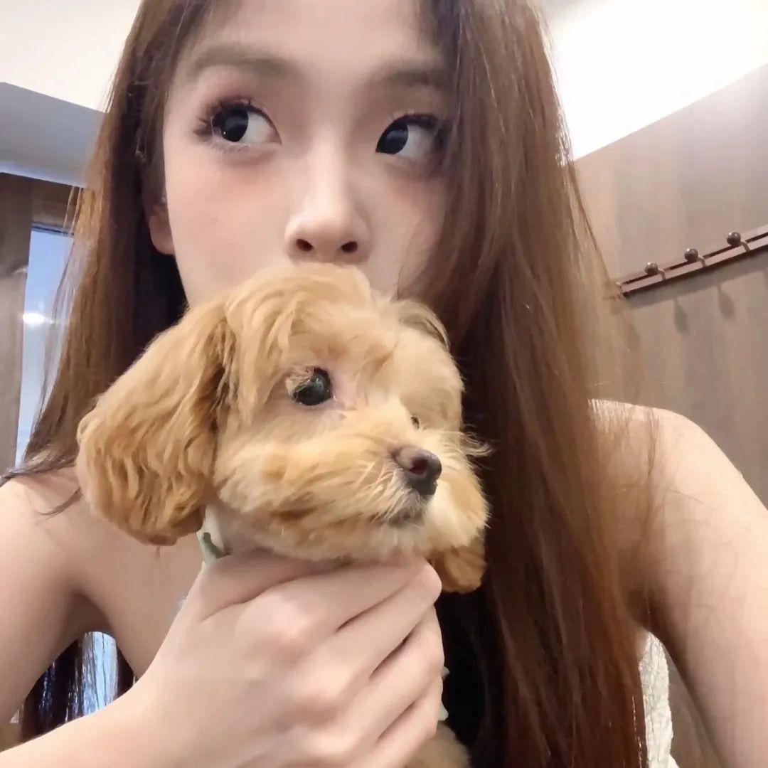 小连糕
