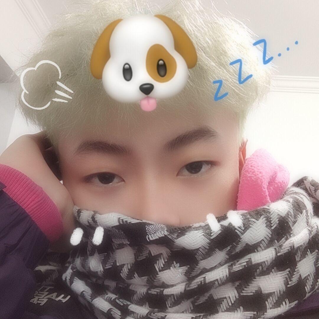 你的炸弹（直播号）