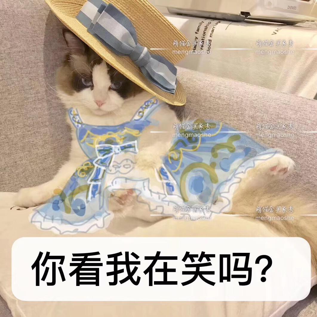 手机用户77405439456