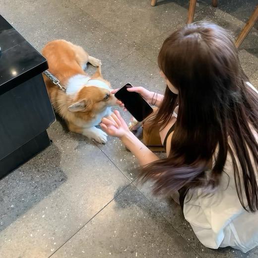 晚安只对你说