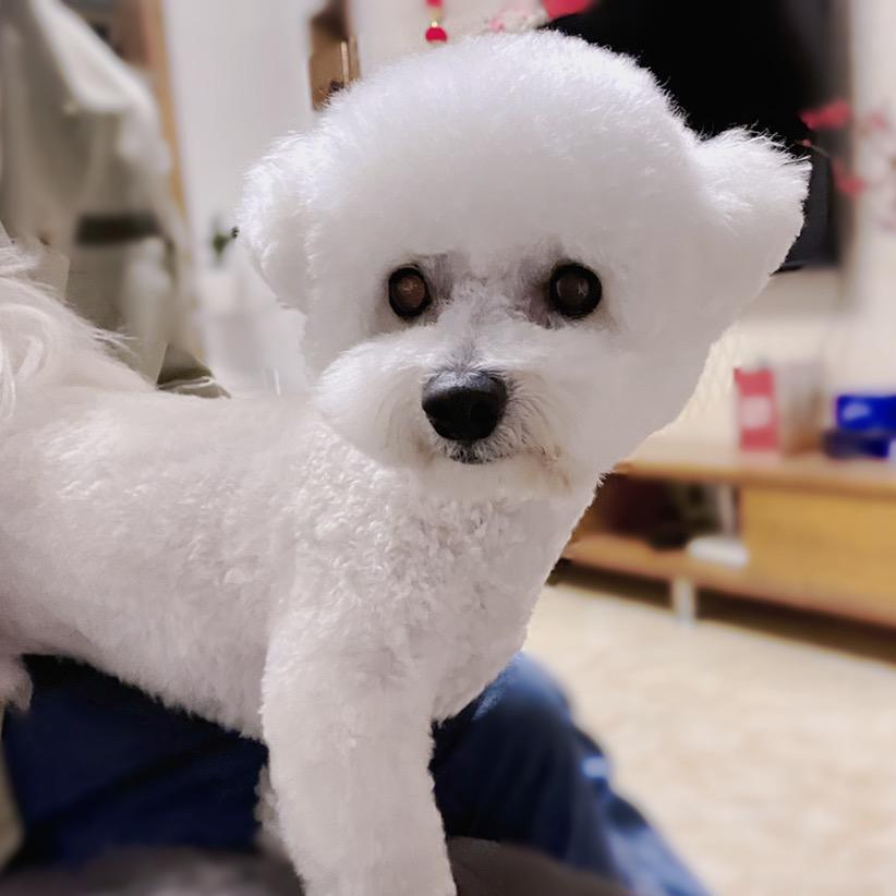 黄山小何汽车服务有限公司