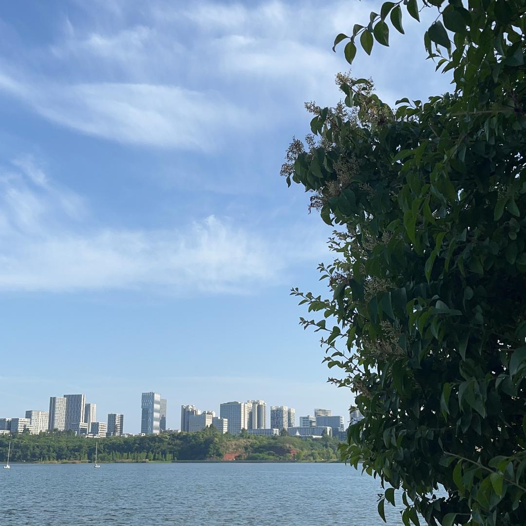 七彩阳光