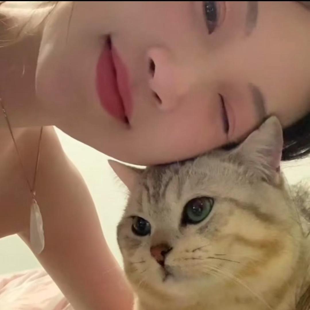 你午睡了吗🐈