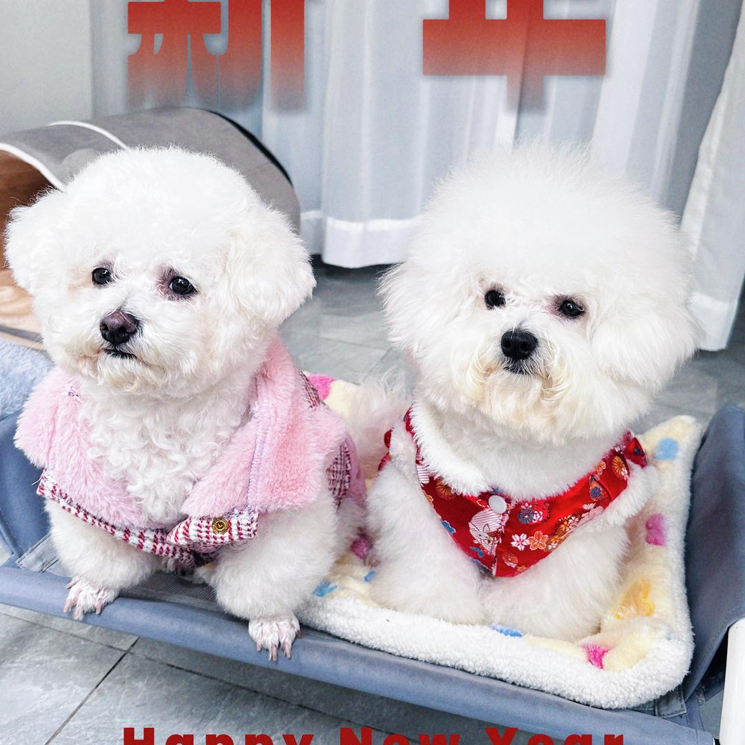 糖糖是只棉花糖🐶