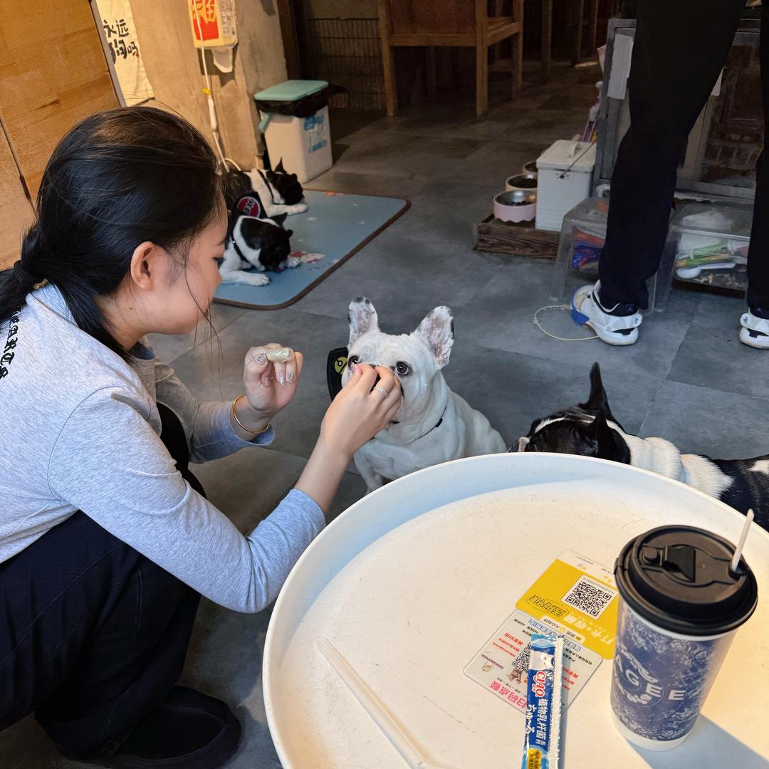 孙嘉悦_