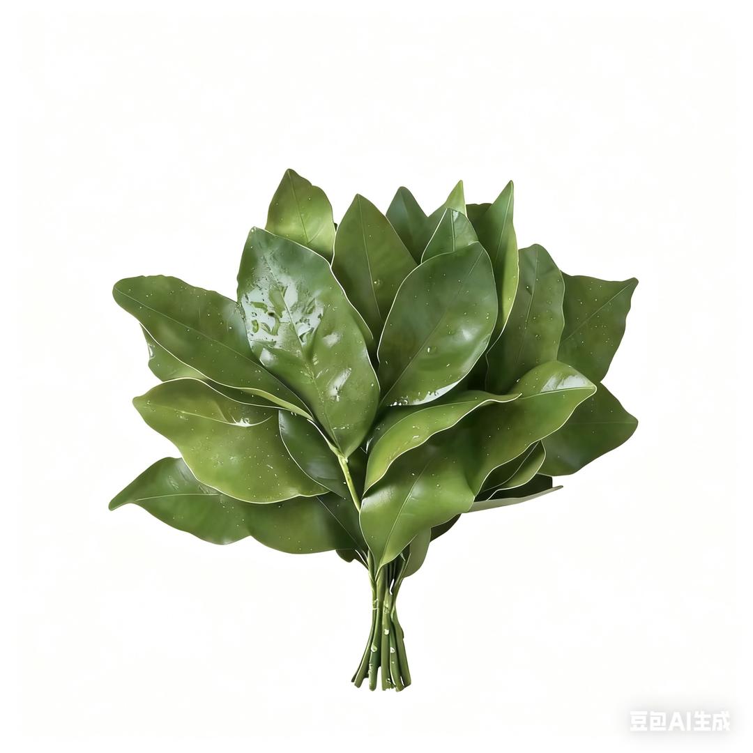 小小侯