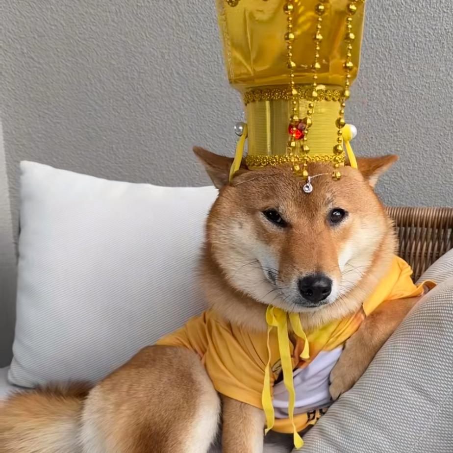 小胡