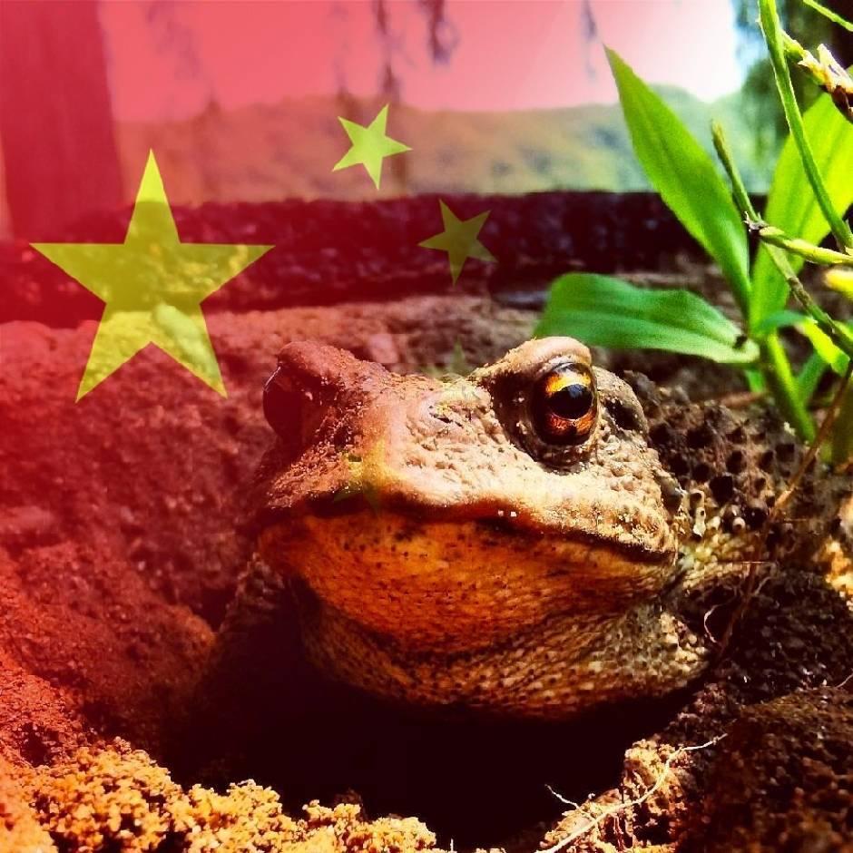 冥王星上建机场