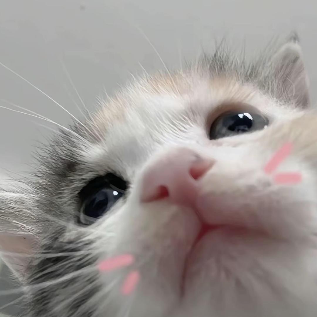 王冰冰（两娃妈版