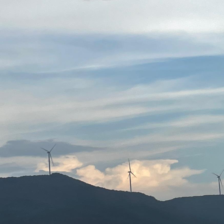 樱桃🍒小丸犊子