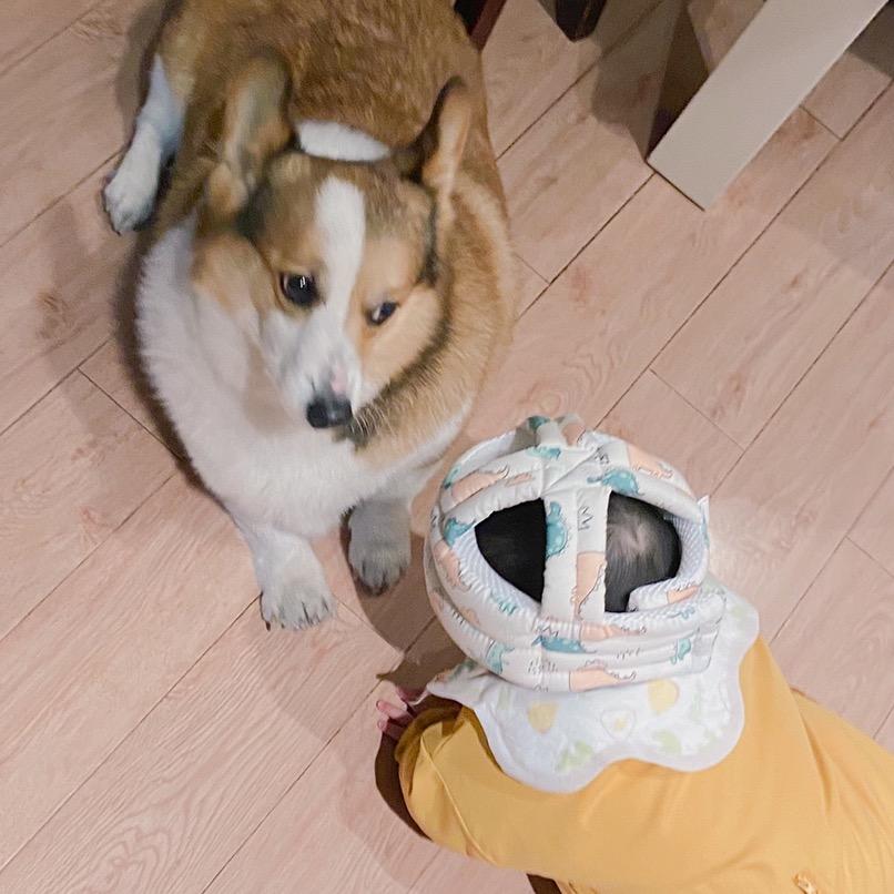 妮大普了