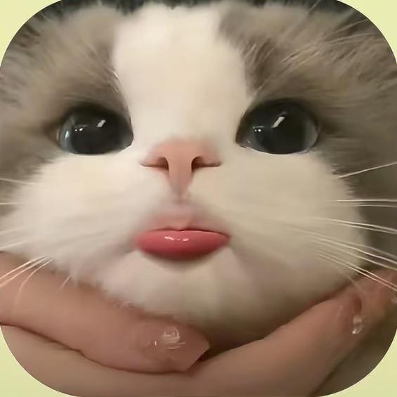 梓苊