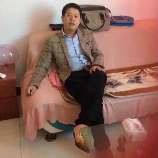 没事溜溜狗逗逗猫