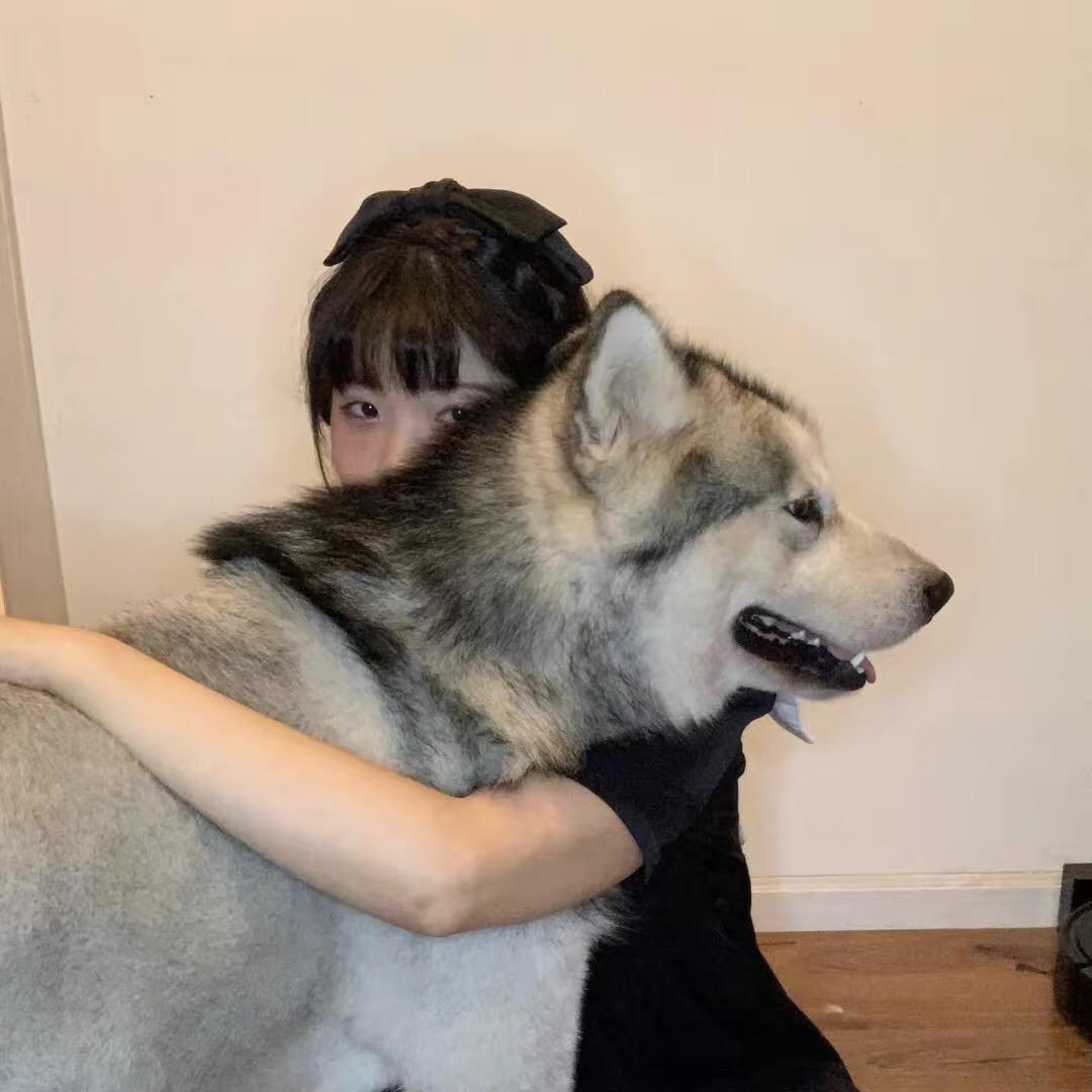 姗姗