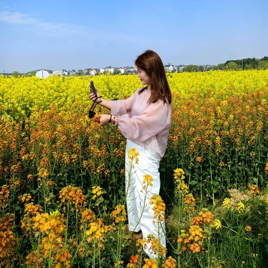 叶子