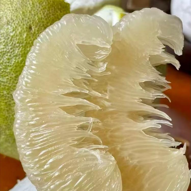 小房子（闲置中）