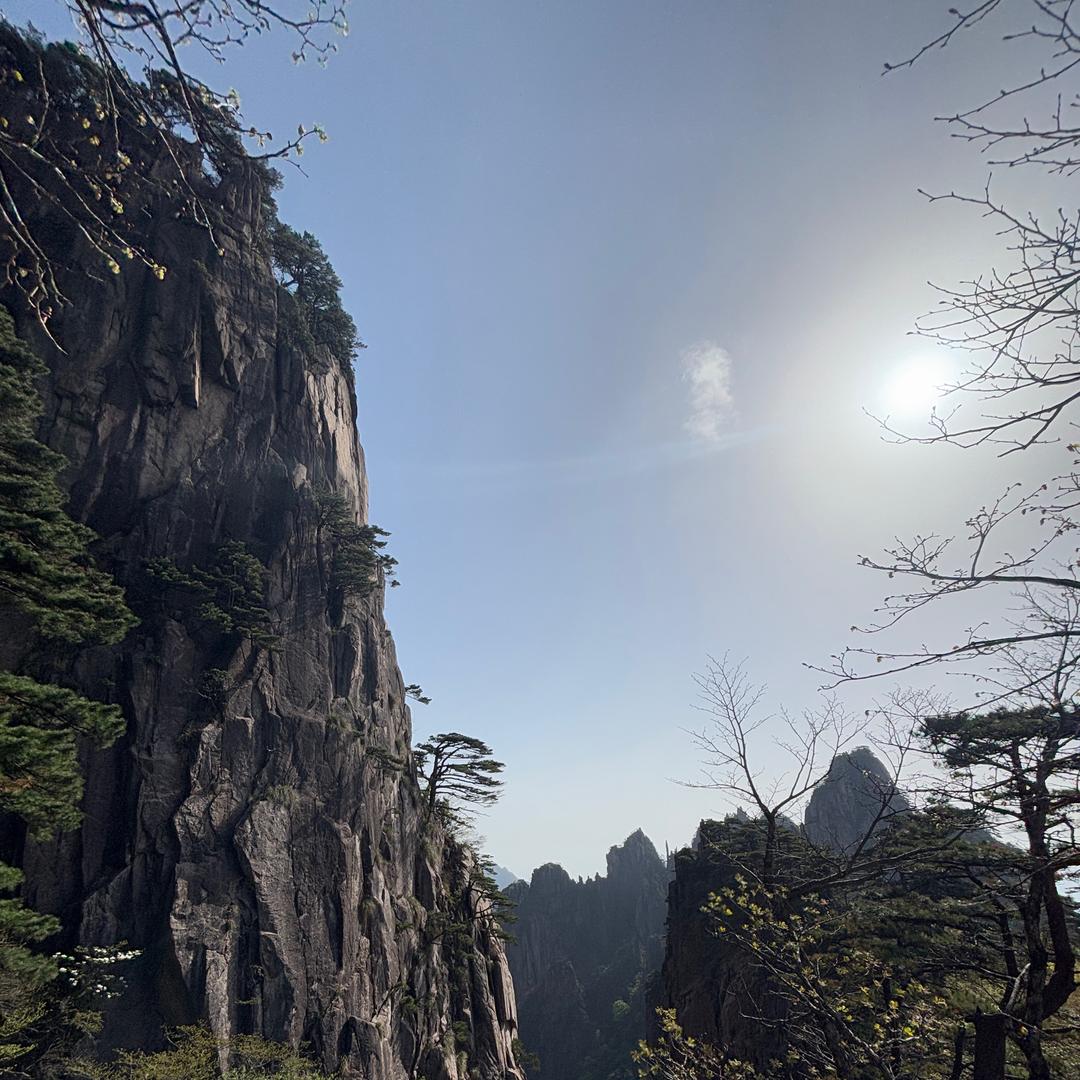 小李小李