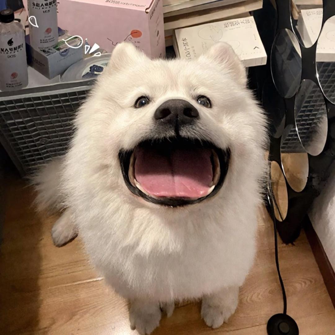 李·