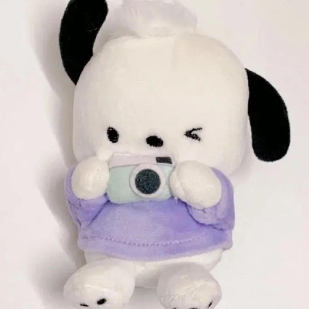 誰是小王同学📸（拍照看简介）